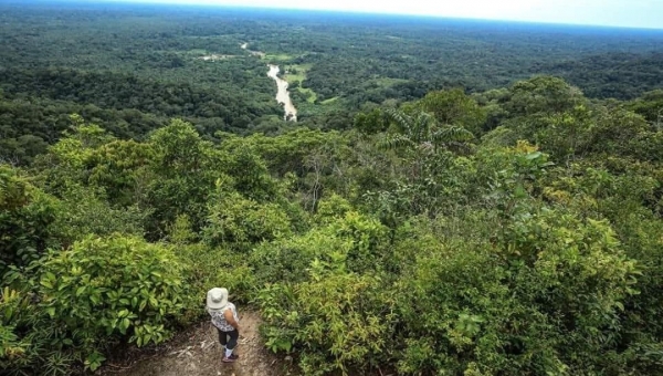 Fotógrafo Marcos Vicentti promove mais uma expedição ao Parque Nacional Serra do Divisor